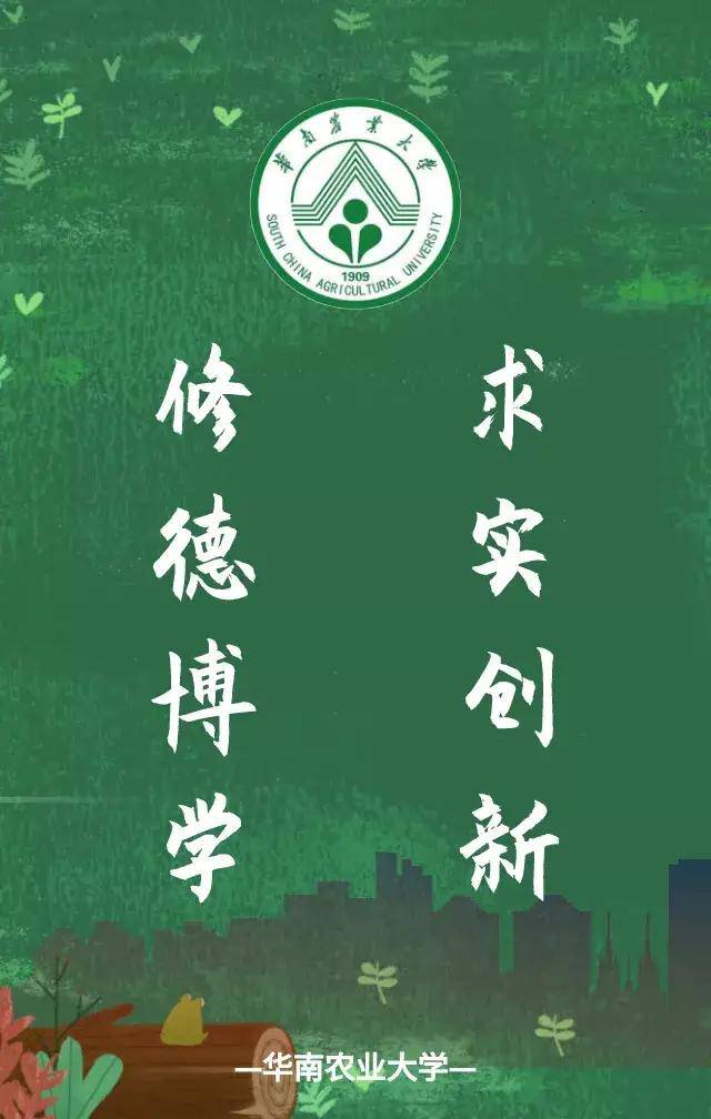 自律|强化阶段考研鹅都在用的壁纸，确实可以安排上了！