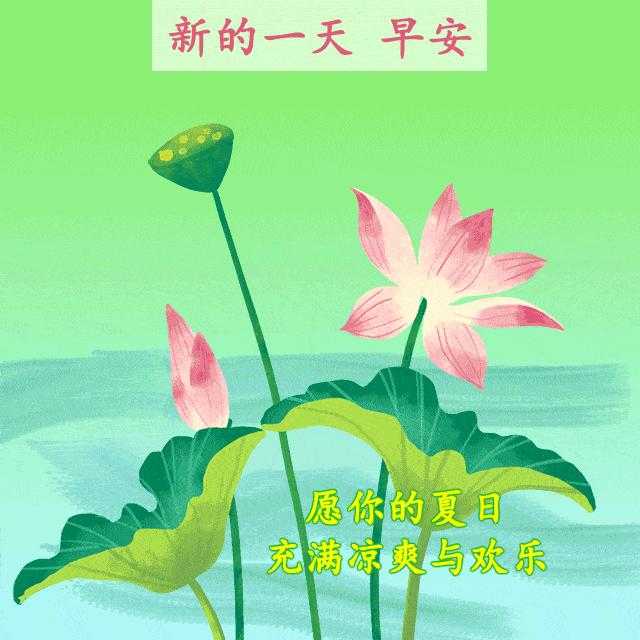 原创全新的早安句子激励上进正能量句子祝大家早安的祝福语动态图片