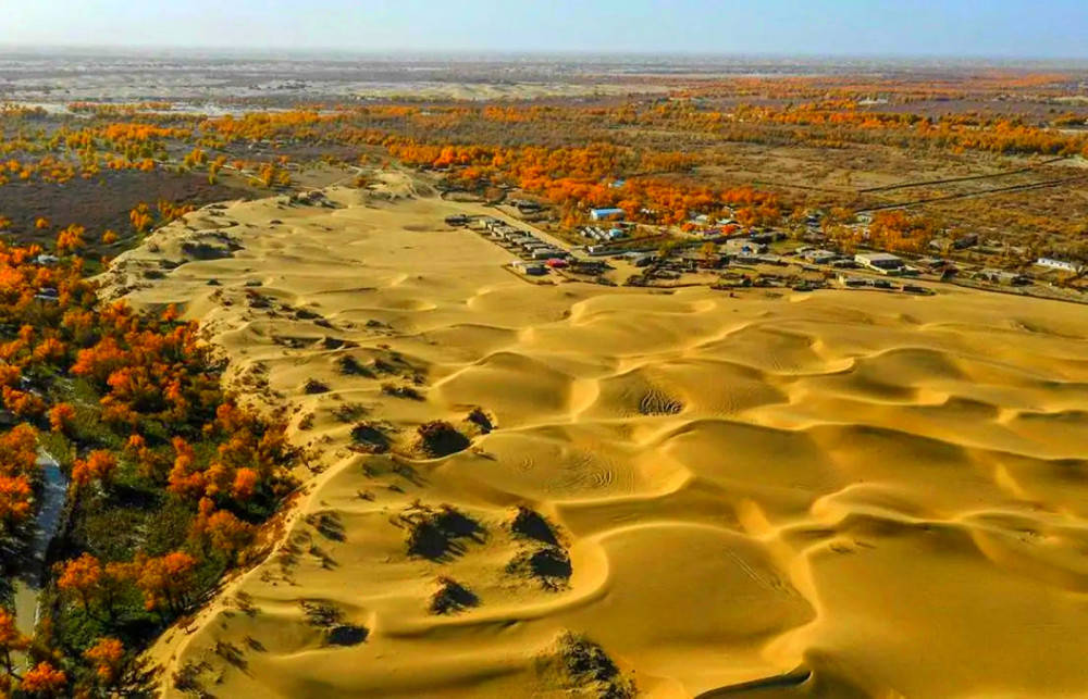 原创沙漠发洪水塔里木河下游涨水我国又能增加5亿亩绿洲良田