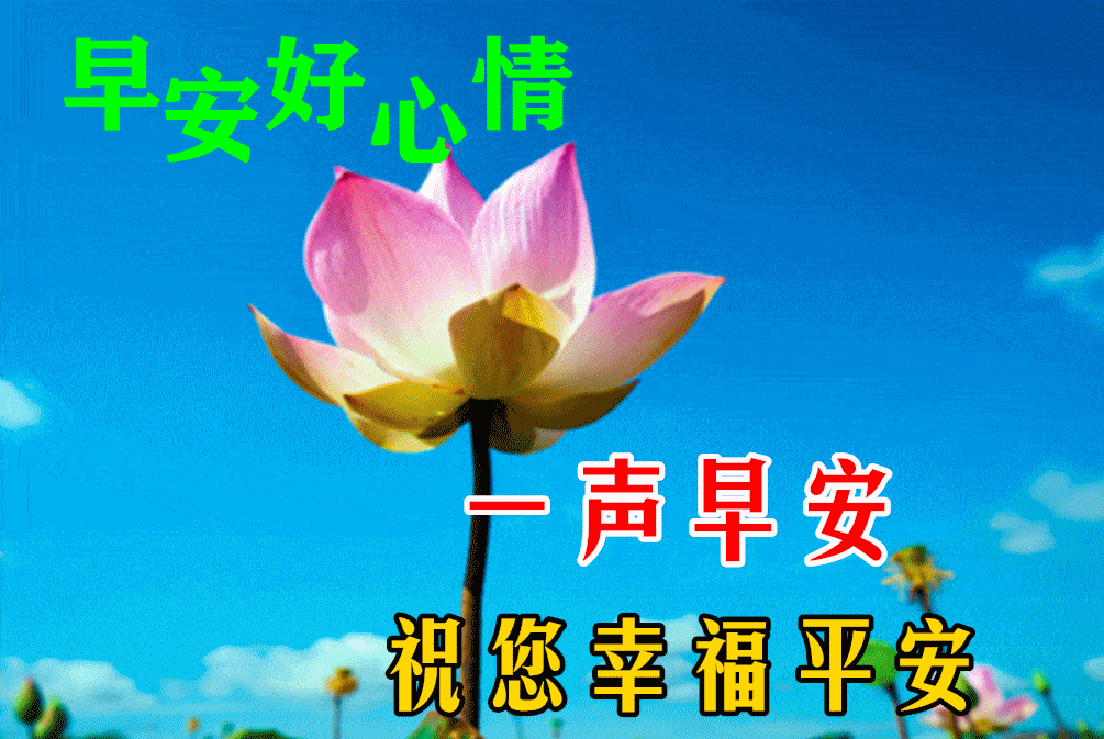 2021秋日幸福暖心问候图片_友情