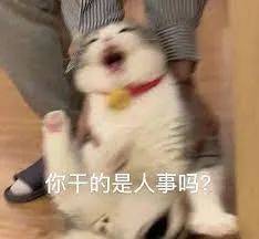 阵容|王者荣耀：职业战队比赛现场变“演员”？一场小组赛，打得真寒碜