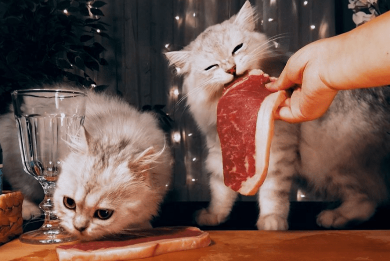 知识科普|LivingWines硬核科普丨葡萄酒里闻到这个味道,它是坏了吗?