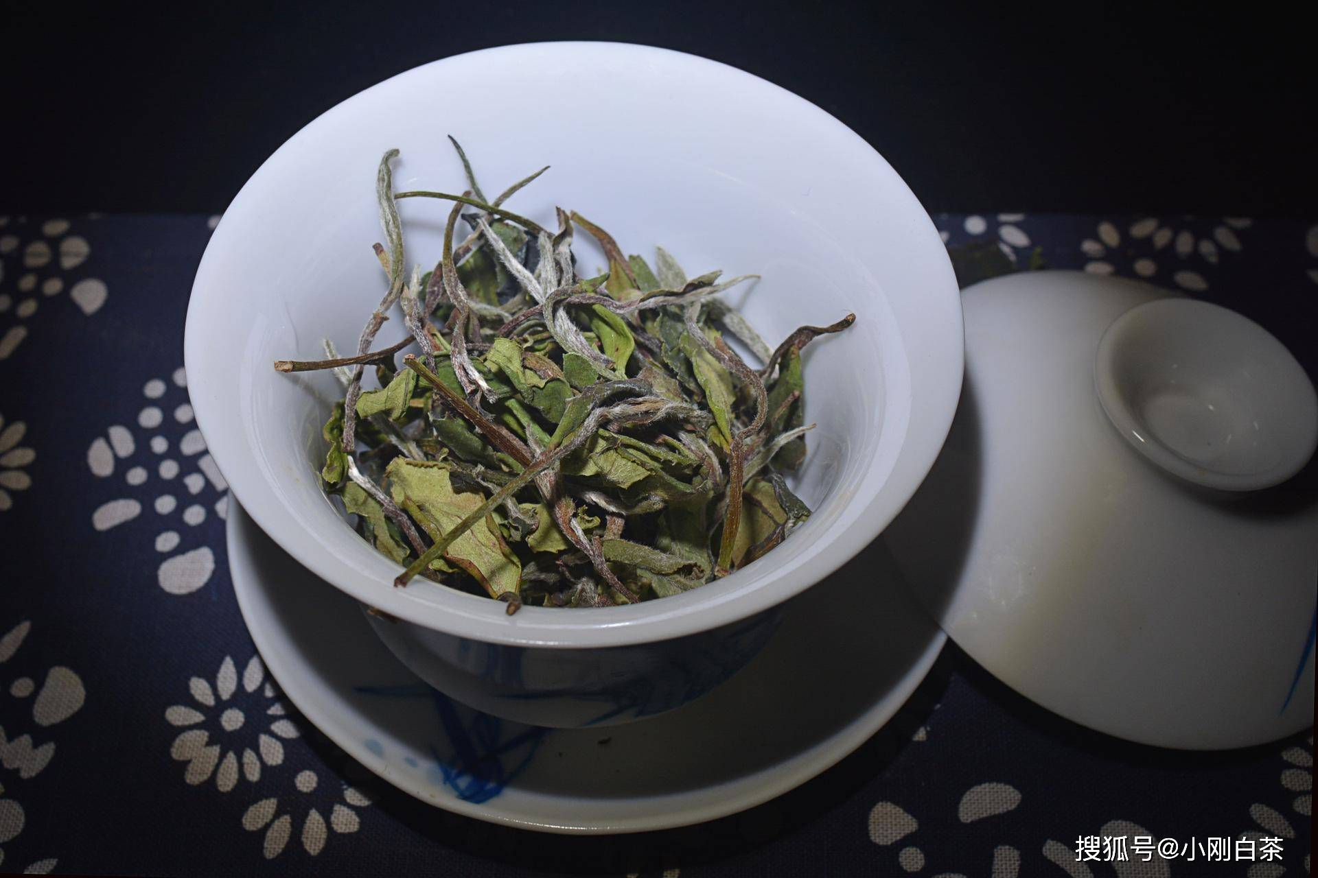 福鼎|福鼎白茶最怕什么？你知道吗？