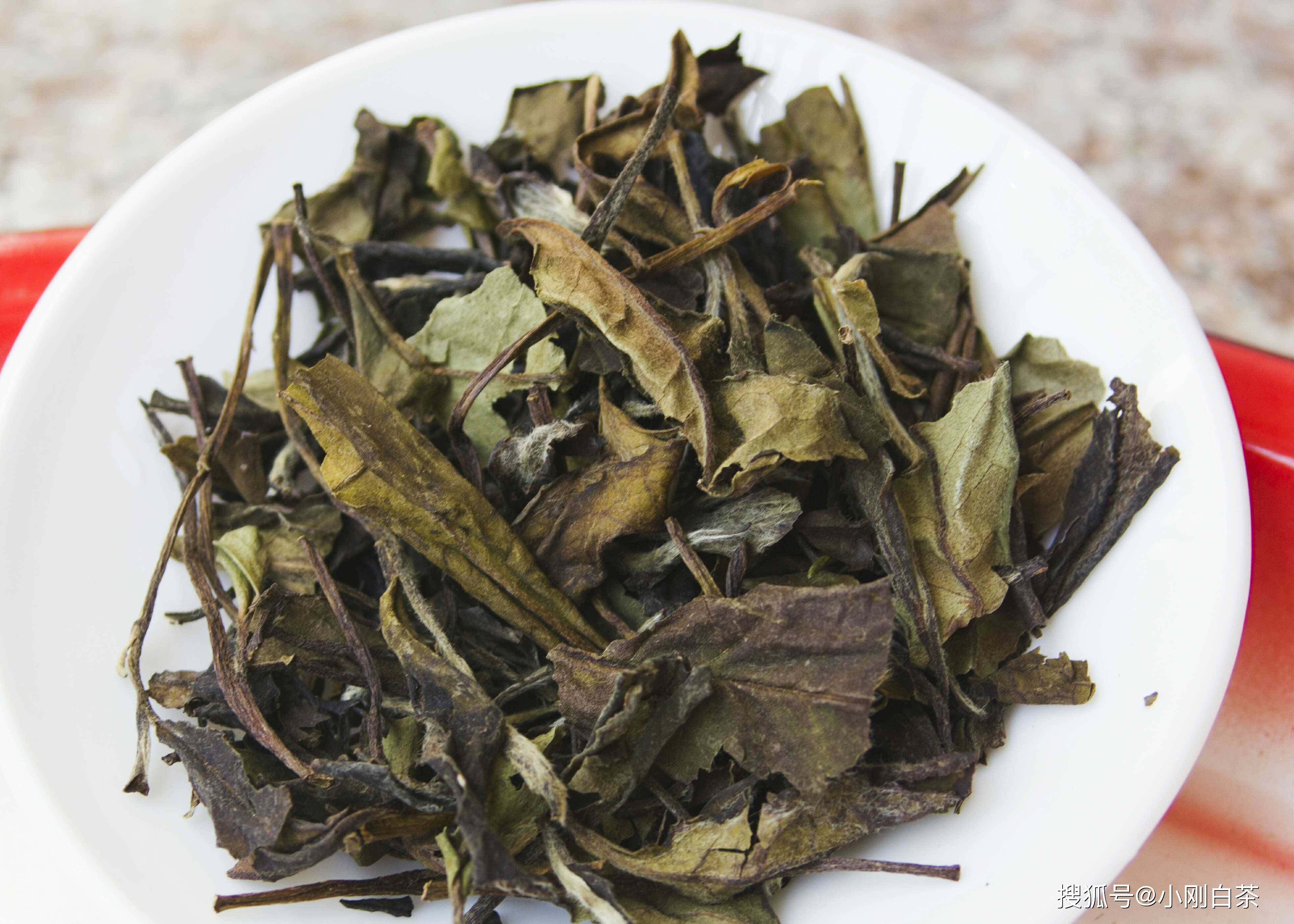福鼎|福鼎白茶最怕什么？你知道吗？