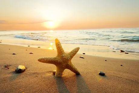 饮食起居|管理好肾病的4个关键因素