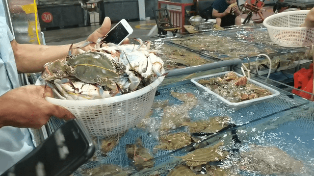 懂行人买螃蟹只看这几点个个顶盖肥保证不花冤枉钱收藏了