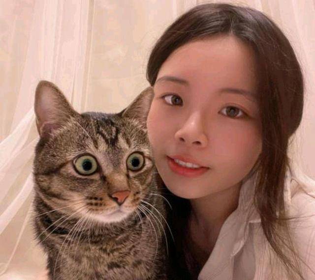 猫咪|医生建议安乐死，小姐姐坚拒，狸花猫为报答不杀之恩，坚强活下来