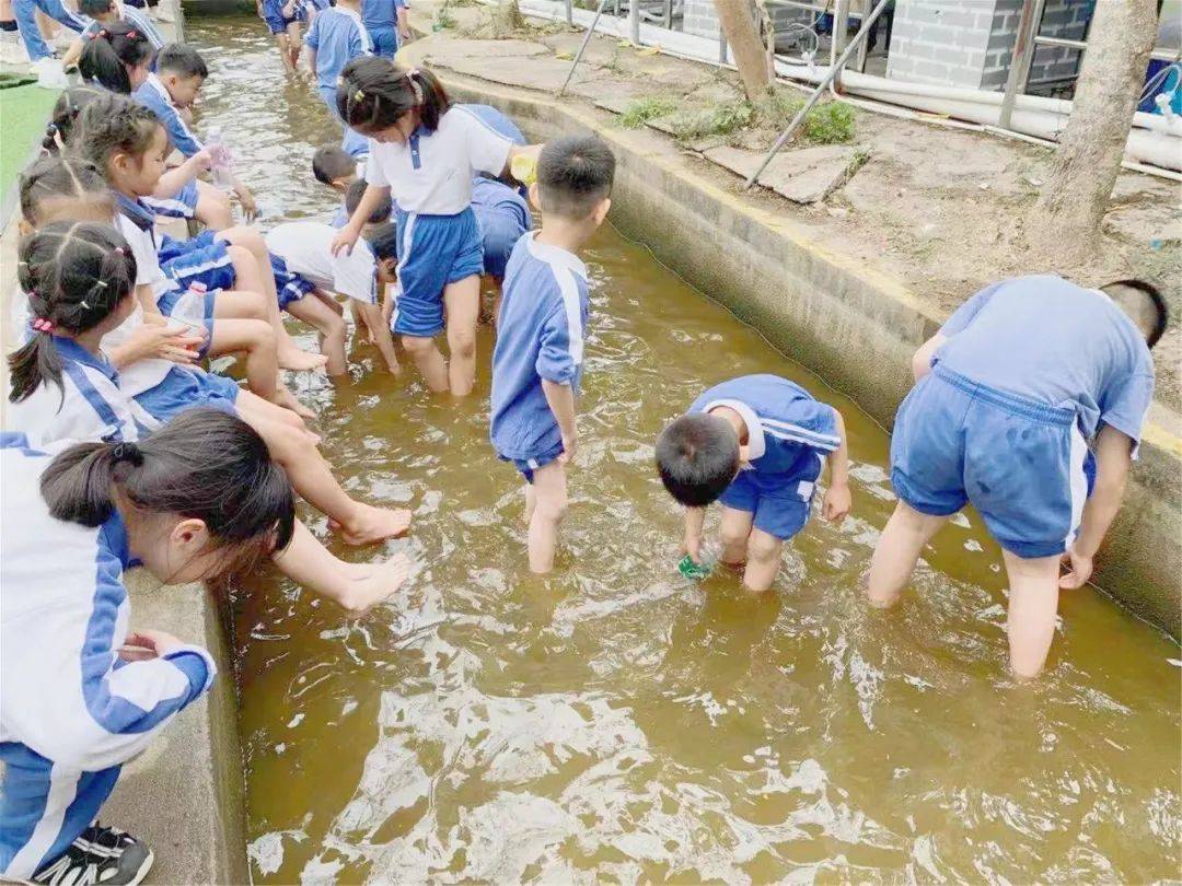 鋤頭|研學印記｜最美的課堂在路上——德琳學校
