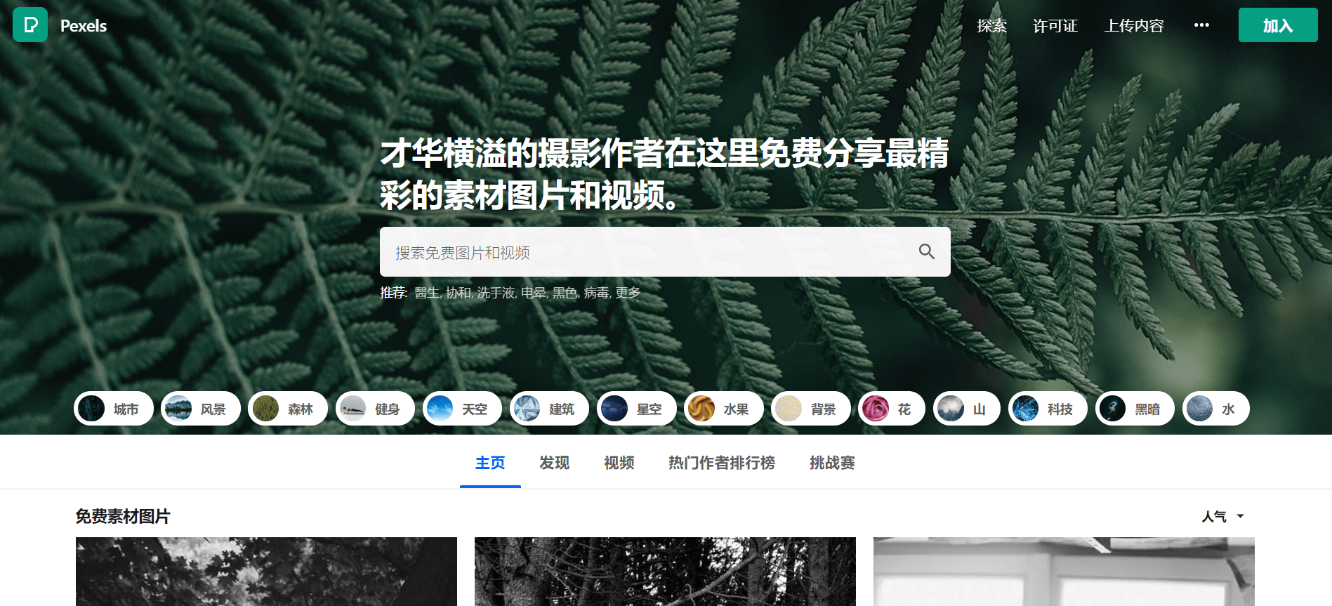 设计灵感从这里开启——素材模板分享的乐趣与应用