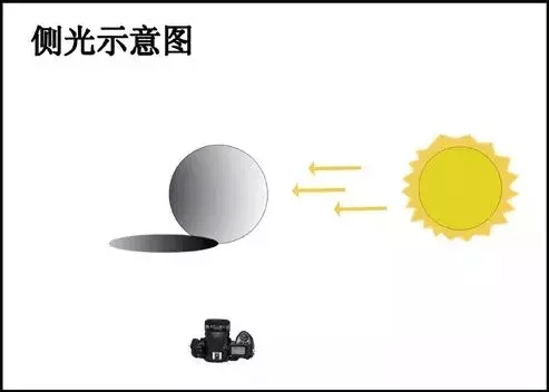学习摄影棚打灯技巧,轻松搞定拍摄中的用光问题_搜狐网