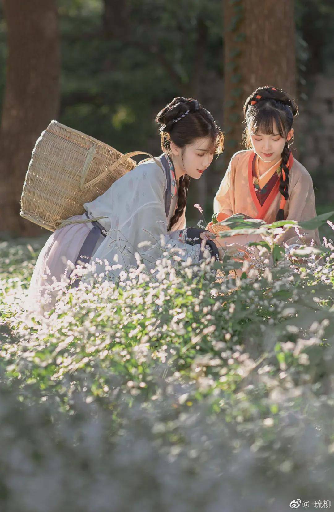 摄影|汉服小仙女：待到山花烂漫处
