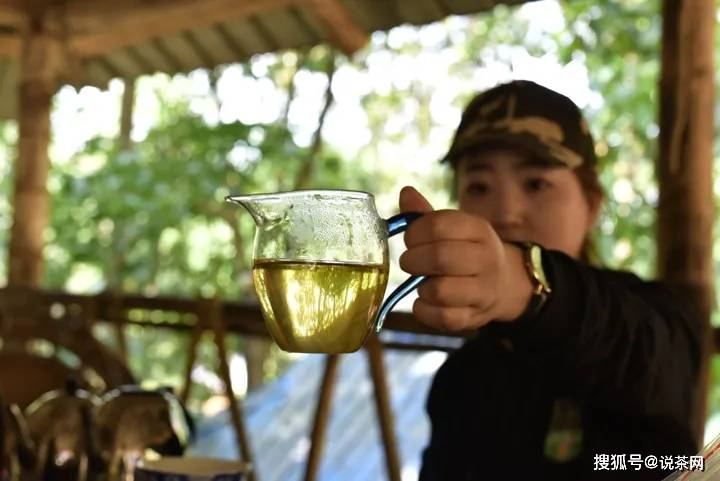 品牌|为什么建议新茶友最好买大厂茶？