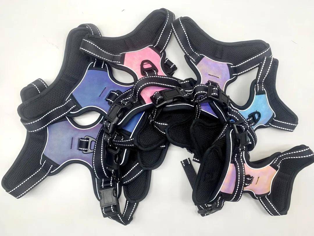 理念|兼顾设计与舒适，品牌宠物服饰新品抢先看