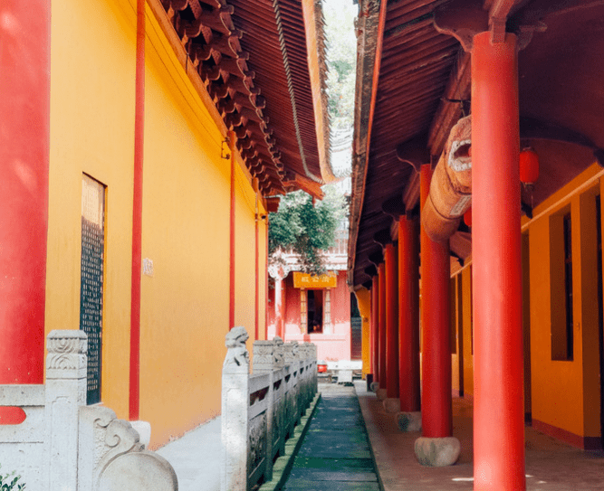 慈溪"好玩刺激的"几大旅游景点,你是否都去过呢?