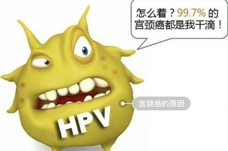 dc1a85af718e47e28519d4e2562db516.png