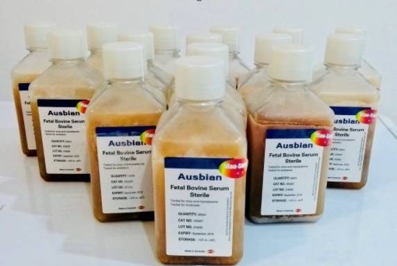 胰岛素是哪一年发现的 e2ec4f92453445faa034a6df3d6c8f3b.jpeg