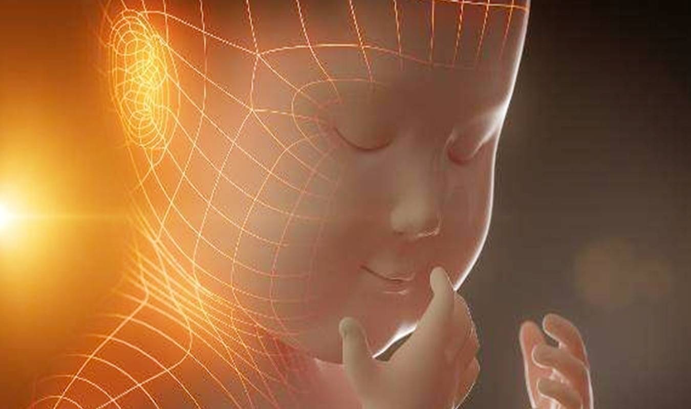 大脑|怀胎十月，智力发育在这3周是高峰期，不想娃输在起跑线就抓住了