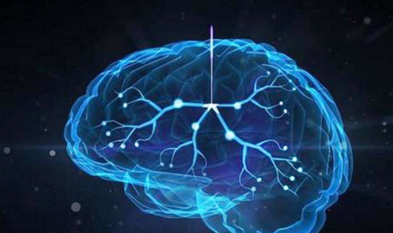 大脑|怀胎十月，智力发育在这3周是高峰期，不想娃输在起跑线就抓住了