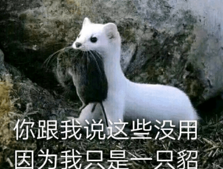 嘴上说着霸蓬好心里想着是苍蓬霸刀霸刀只是可有可无的貂