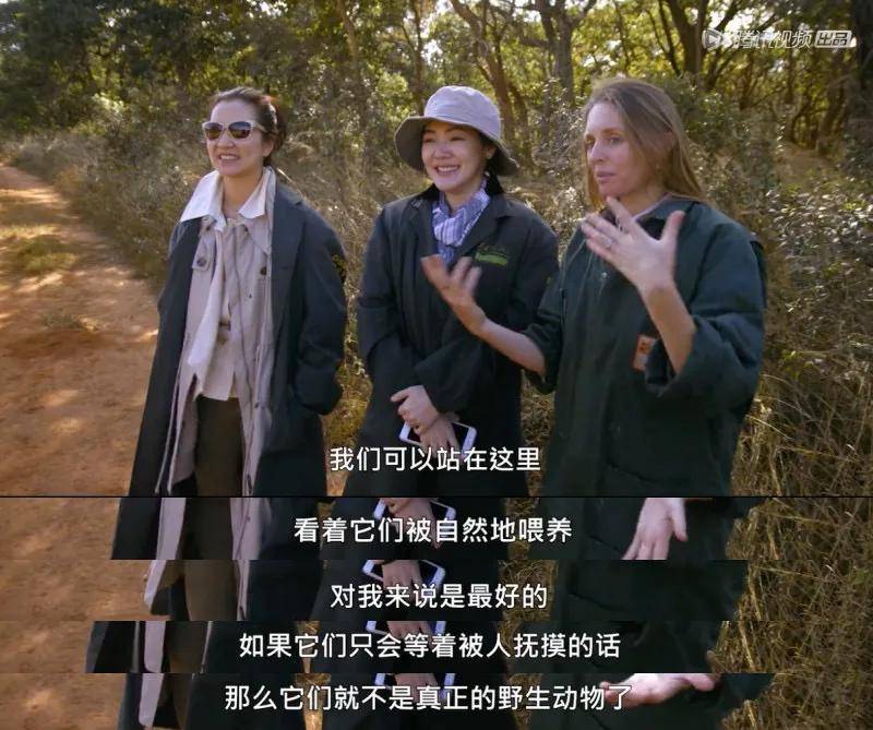 原创村民私自囚禁17只濒危老虎，全网怒了：快让他牢底坐穿…