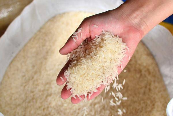 大米泡多长时间为好 80c468fb04364655bdf2b3a8e308983d.jpeg