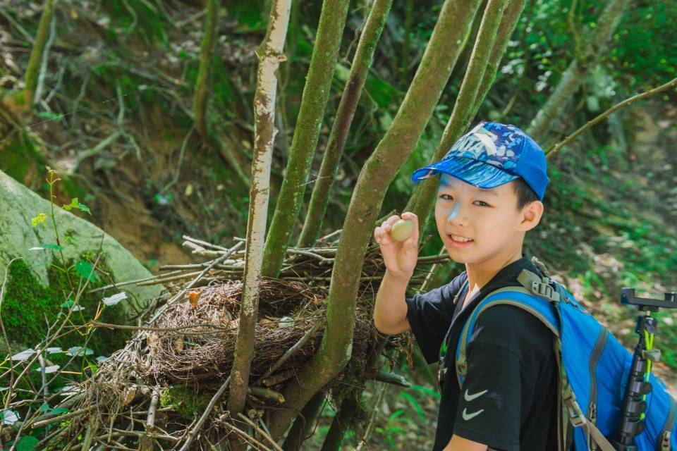 山野|把21℃的九皇山之行当作礼物，送给暑期的孩子们吧