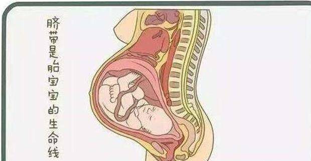 原创为母则刚, 东莞孕妇无麻醉剖宫生下宝宝, 你怎么看