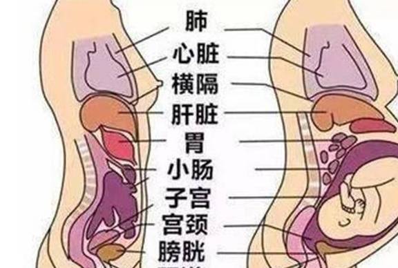 体重|生出宝宝后，宝妈当场能瘦多少斤？结果可能跟你想的有差距！