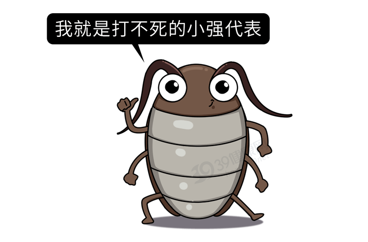 中国专家从蟑螂中找到治病良方修复能力强能促进口腔溃疡愈合