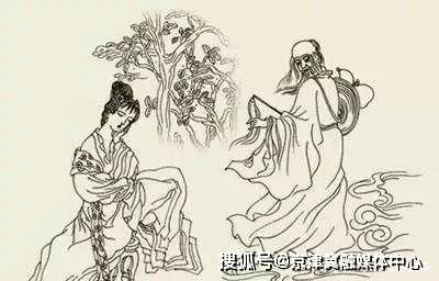 福鼎|刘月好:福鼎白茶的文化传承
