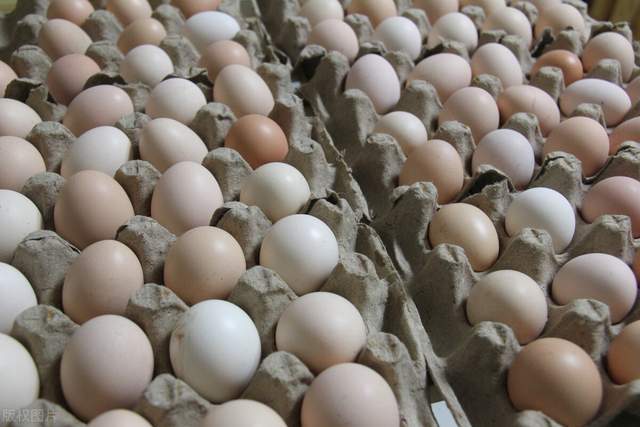 十四日蛋 24793123a61649c98f78ad054053fac4.jpeg