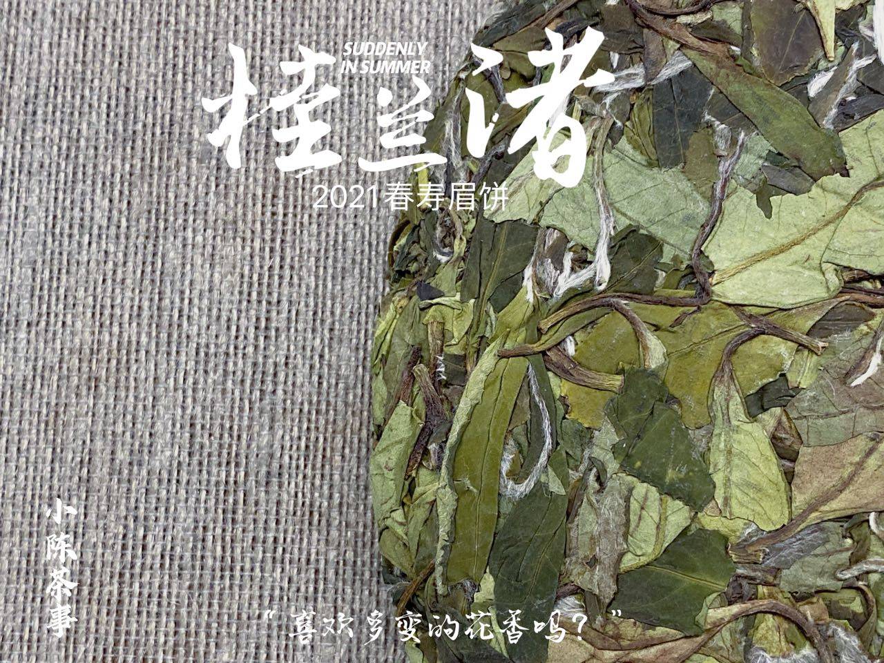养分|长期收藏白茶，选散茶还是饼茶？两者的转化速度有快慢之分吗？
