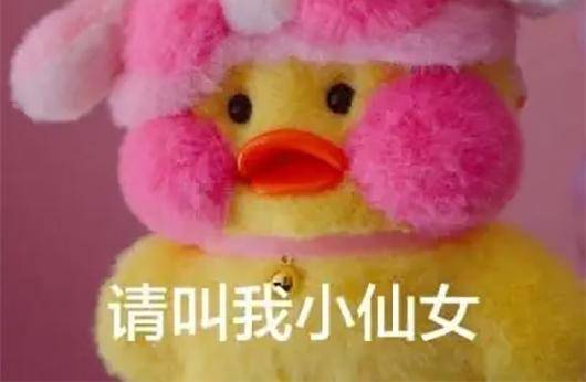王小民|王小民教授：爱美人士想要整鼻型，先看看这些干货