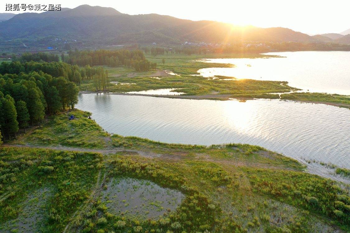 原創四明湖溼地公園開建網紅水杉林將成為收費景區