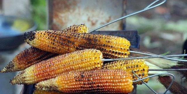 烧烤|排名前5的烧烤素菜,除了铁板韭菜,还有哪些?网友:前3种最好吃