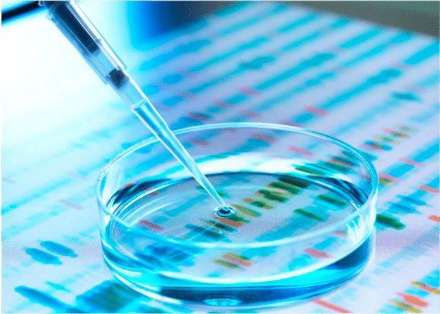 生活|降糖“冠军”被揪出,不是葛根,每天当零嘴吃,还你“好胰岛”