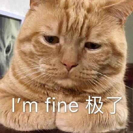 什么|御芝林小御说：打工人不配养生？灵魂熬得住，身体熬得住吗？