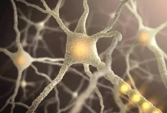 功能|末梢神经炎出现的原因及护理方法