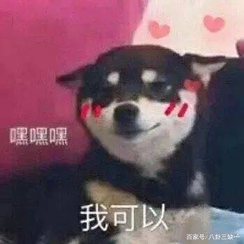 944adb86cb634e8ba70f84f61206318b.jpeg
