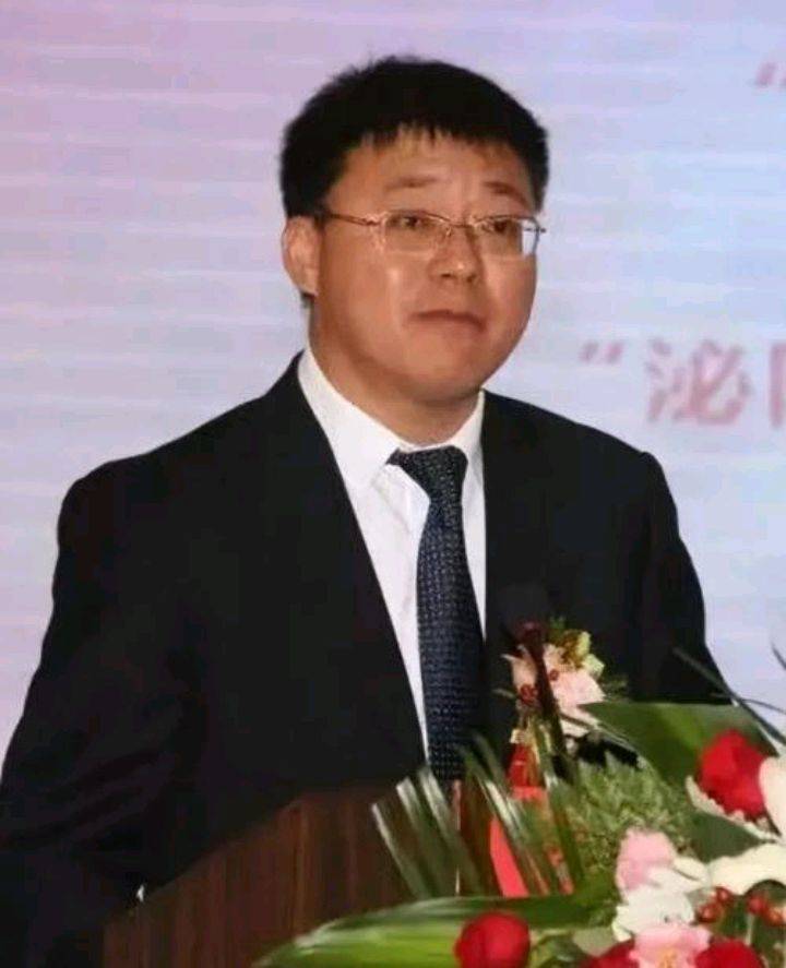 泌阳县代县长图片