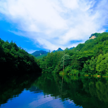 云赏美景！嵩县宝藏避暑地，一起“森”呼吸！