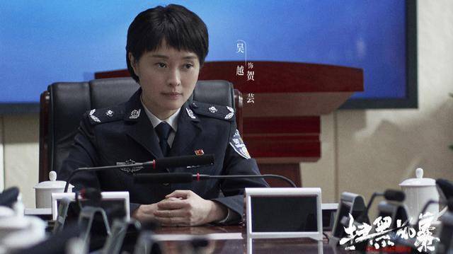 孙兴|扫黑风暴：贺芸身份不简单，和孙兴是母子关系，七个细节早已暗示