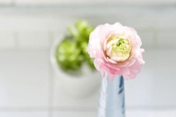 8月19 8月28日 这4个星座运势不可低估 升职加薪 贵人帮助 生意日渐兴隆 未来