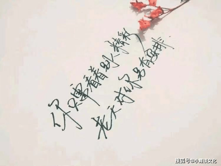 7339ec818e3046b3bd998d3d8f0477f3.png