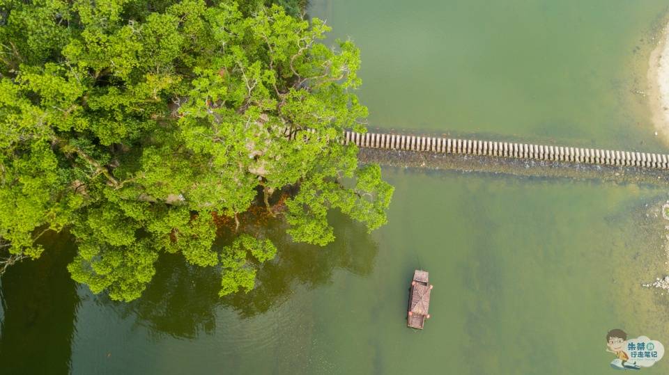 敞开大门|浙江一景区走红后，每年到访游客数百万，却继续敞开大门迎接游客