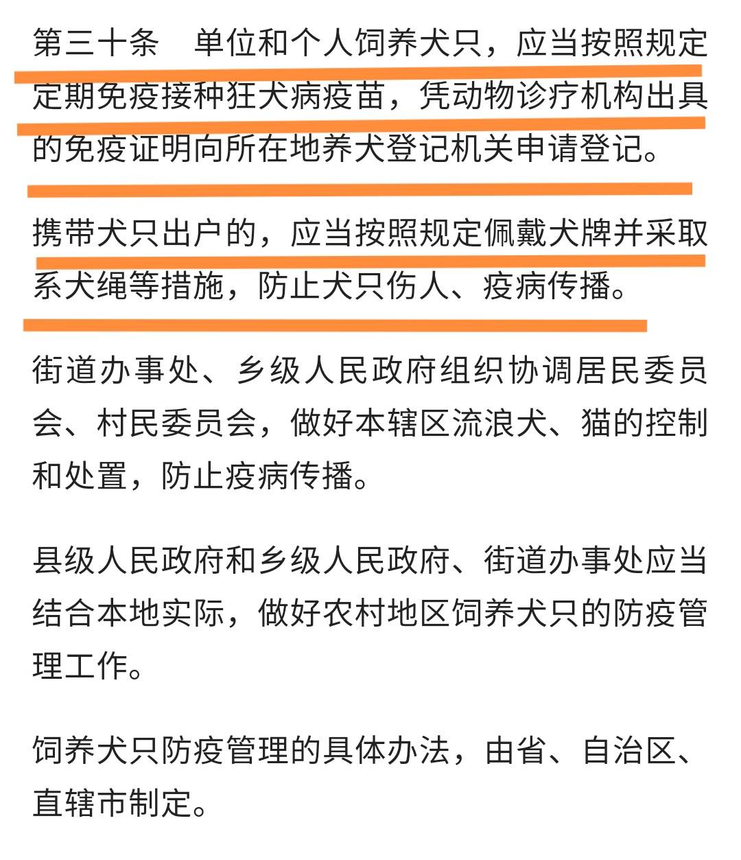 史上最严动物防疫法5月1日起遛狗不牵绳养犬不免疫将统统违法