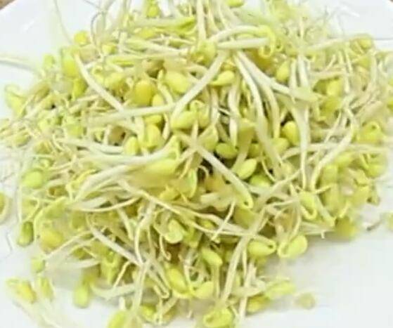 黄豆芽怎么炒好吃 黄豆芽发绿能吃吗？