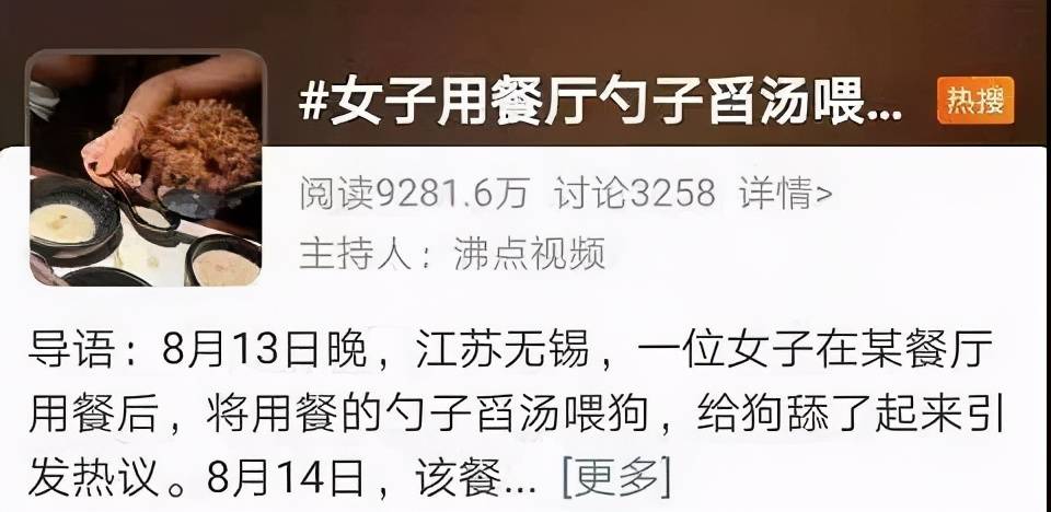 事件|带宠物狗进餐厅，还让它上桌舔餐盘？？