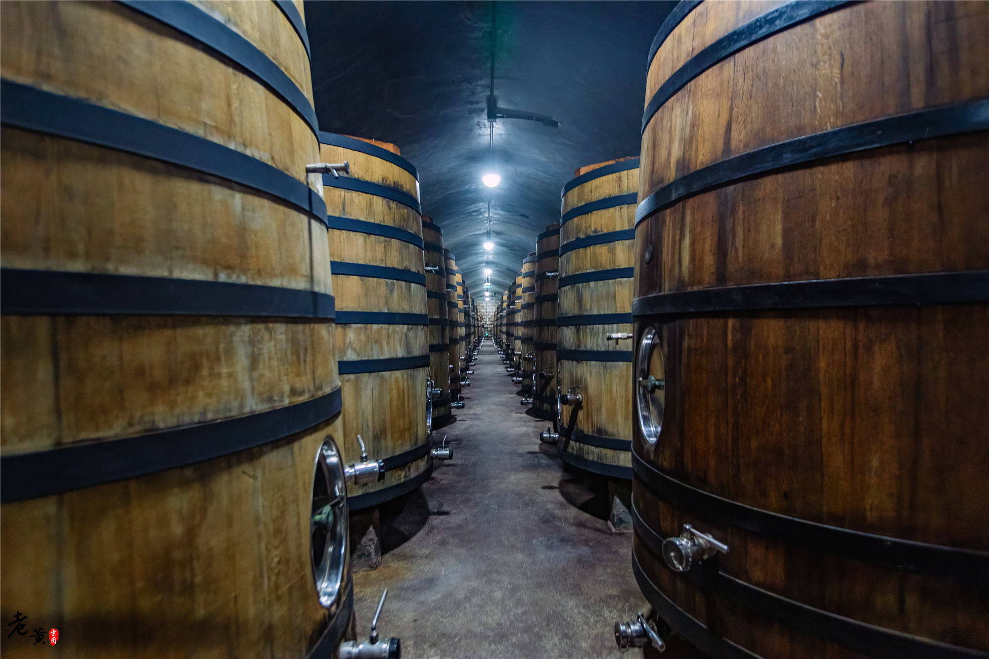 我国|世界独一无二的“海滩边的酒窖”,就在我国烟台,始建至今超百年