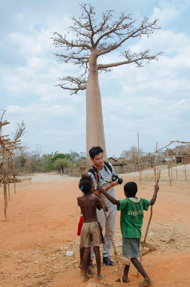 倒着长的树，竟然就在马达加斯加，你想一下看吗？